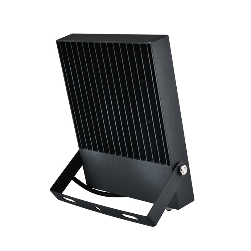 30w 50w 100W LED the flash