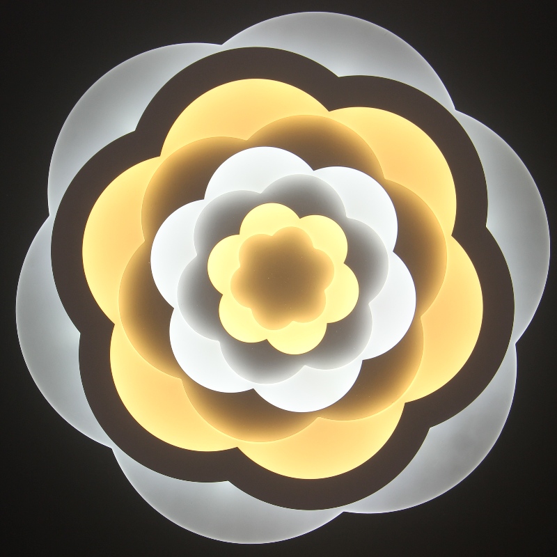 Luces de succión