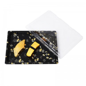 Bandeja de sushi X - 09