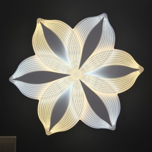 Lámpara de techo AC809