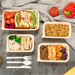 Contenedores de almacenamiento de alimentos desechables compostables ecológicos de forma cuadrada para llevar almidón de maíz contenedor de alimentos biodegradables