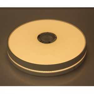 Lámpara de techo mu111