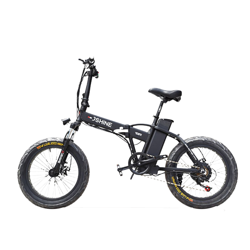 EBIKE Z9-X1