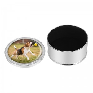 Urna de metal para cenizas de perro