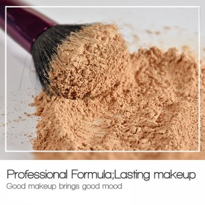 Control de aceite translúcido impermeable establecido en polvo suelto