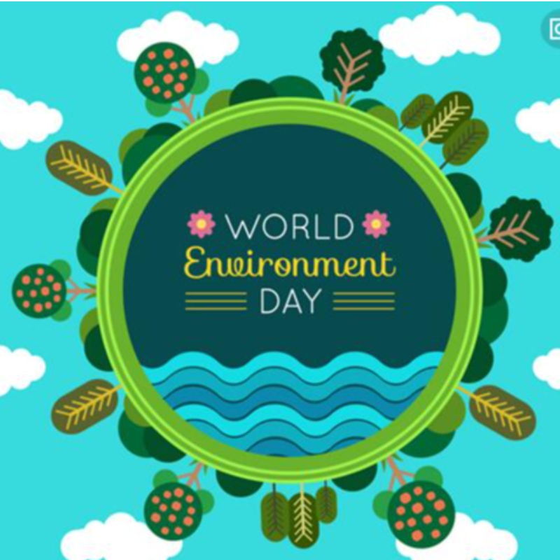 Proteccion Ambiental