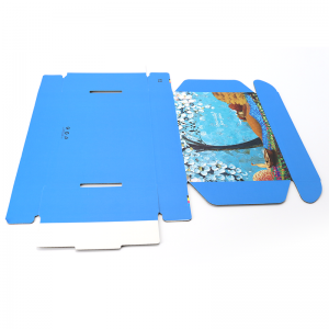 Tuck Suscripción Shoe Embalaging Imprimir Color Color Corrugated Papel Envío Azul Logotipo de encargo Caja Mailer