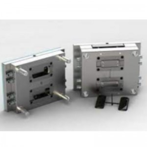 Procesamiento de moldes