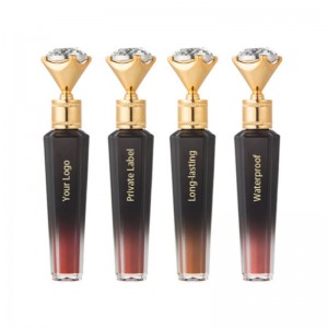 Nuevo material Lipgloss