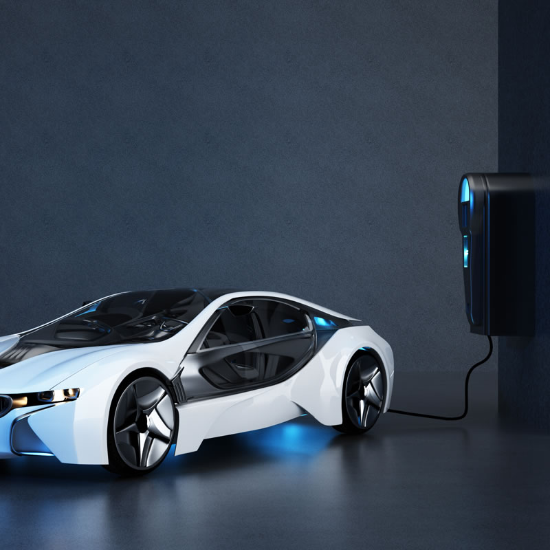 ¿Cuáles son tus términos comerciales?