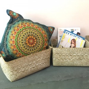 Caja de almacenamiento de algas