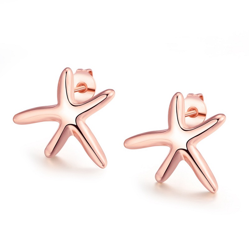 Moda y pequeños pendientes.