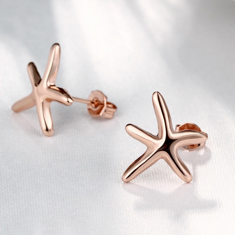 Moda y pequeños pendientes.