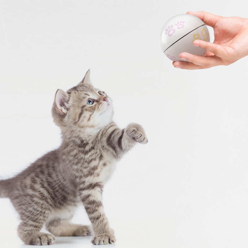 Juguetes interactivos de bola de gato láser