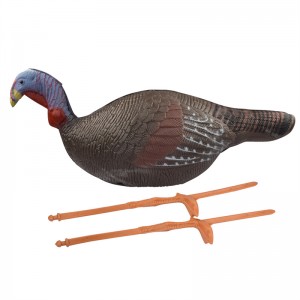 Elong al aire libre 41t3D2 3D Pollo Target Tiry Shooting Plactice usando el objetivo realista