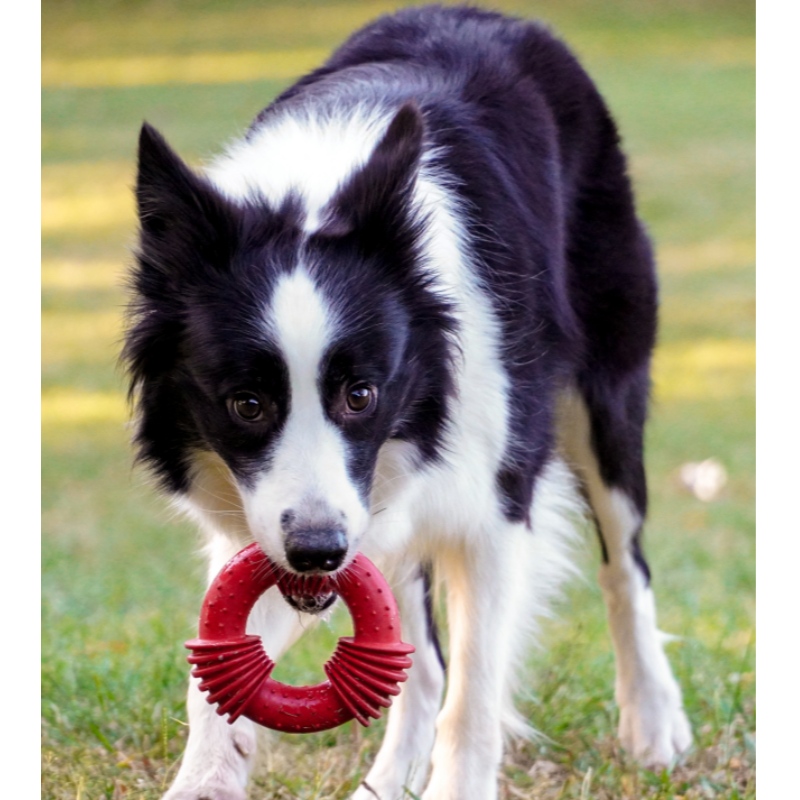 Furjoyz extremos juguetes para masticar goma para perros interactivo