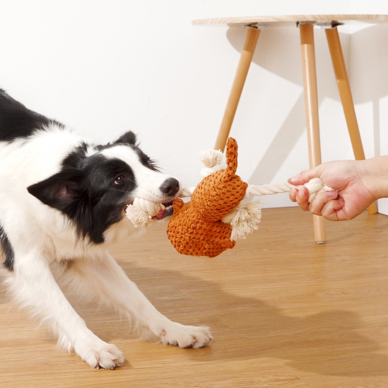 Juguete de perro cuerda de peluche