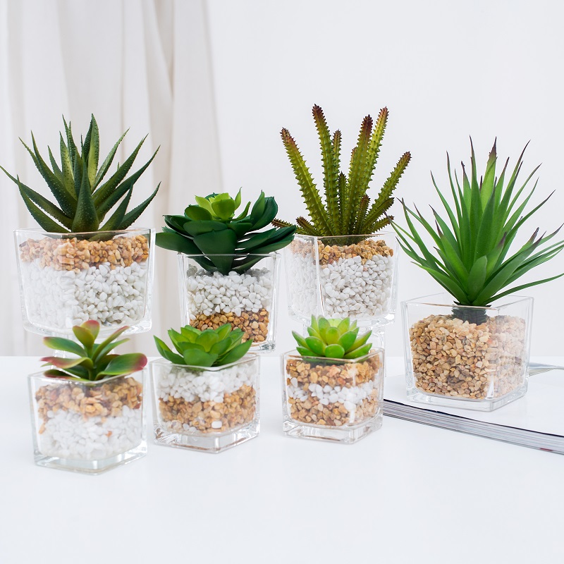 Potted artificial suculento en vidrio.
