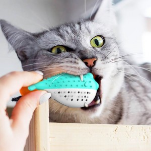 Furjoyez al por mayor Venta al por mayor Divertido Mascota Juguetes Dientes Cepillo de Dientes Interactivo Toy Cat Portátil Portátil Dientes Limpios Inteligentes Dientes Catnip Gato Juguete