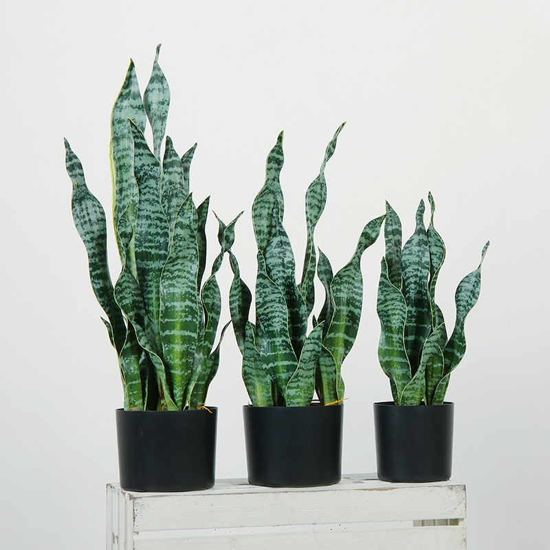 Venta caliente Green Indoor Home Plástico Platos Artificiales Decorativos para sala de estar