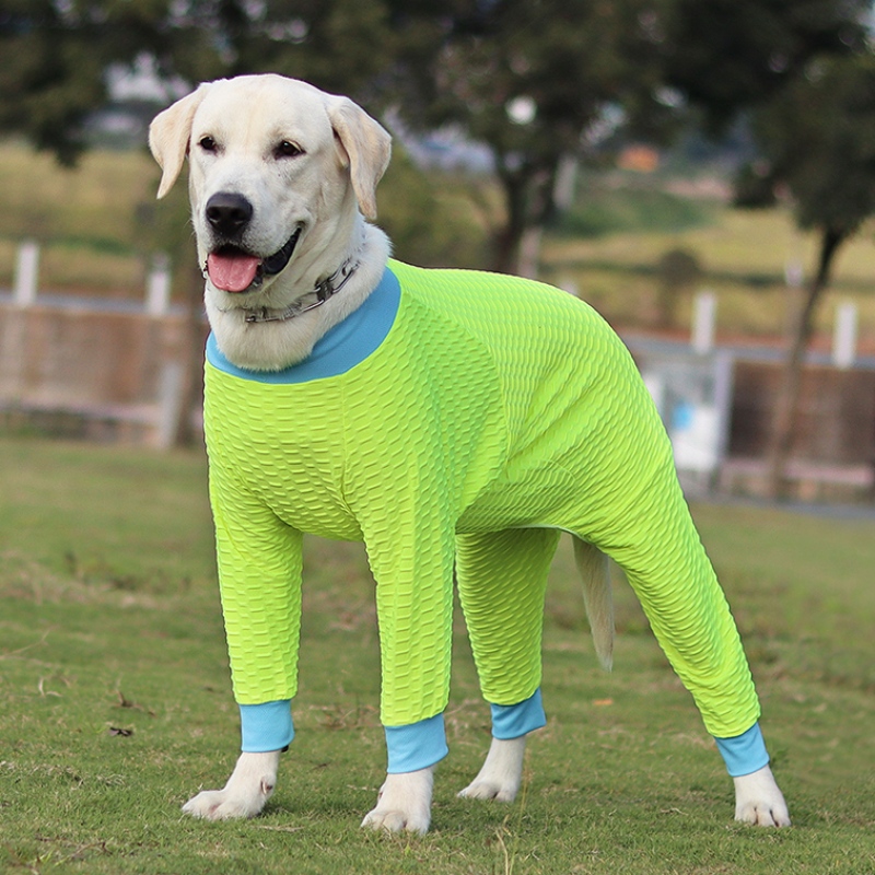 Cachorro hermoso y duradero Correa de pecho, arnés de pecho de perro, prendas de perros en precio asequible