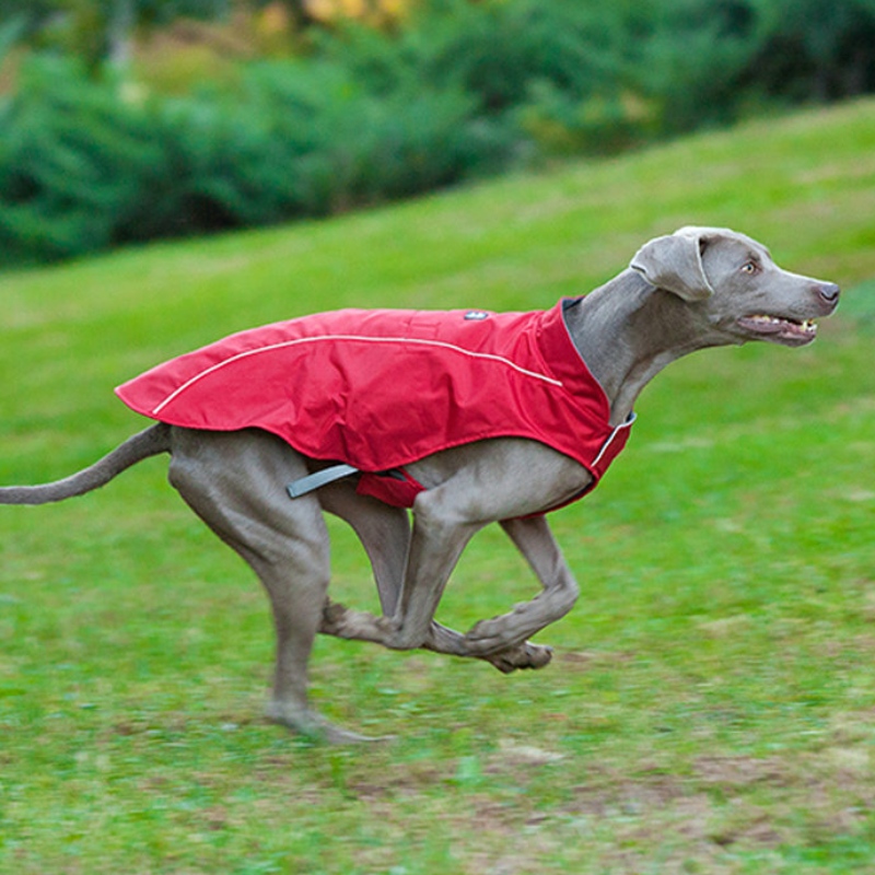 Classic Style Reflective Perro Abrigo Impermeable Ajustable Invierno Dog Chaqueta Reversible Ligero Ligero