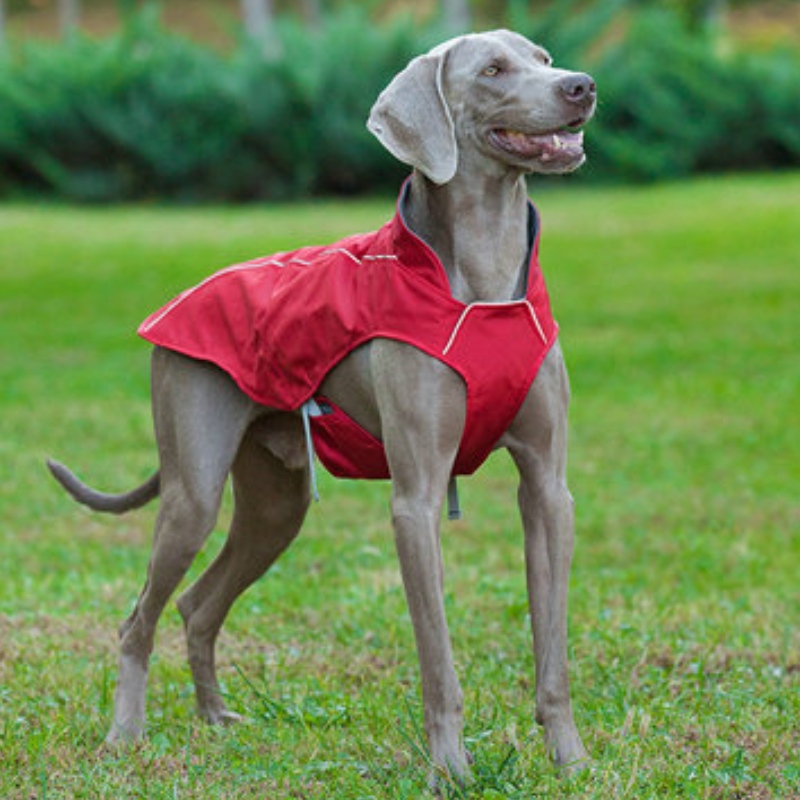 Classic Style Reflective Perro Abrigo Impermeable Ajustable Invierno Dog Chaqueta Reversible Ligero Ligero