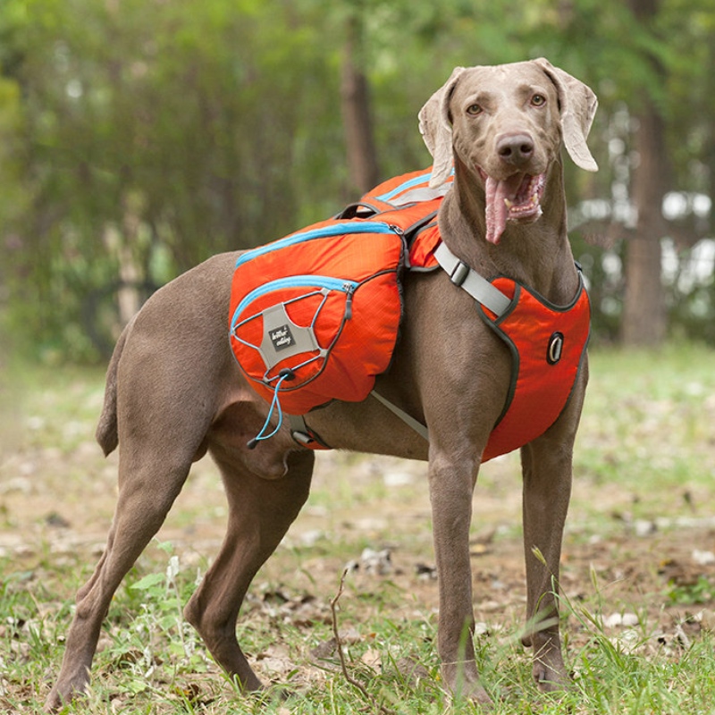 Nuevo diseño Ropa de perro reflectante con arnés Cálido Gran Abrigo de mascotas Chaleco Cortavientos Invierno Dog Chaqueta