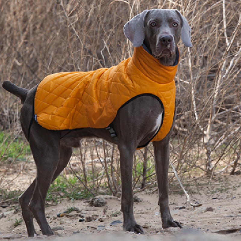 Amazon venta calientenueva ropa de mascota ropa de perro otoño e invierno espesado suéter eléter mascota suéter