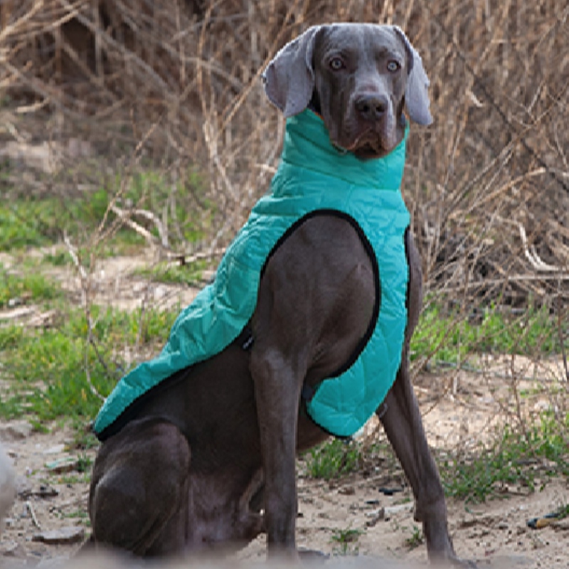 Amazon venta calientenueva ropa de mascota ropa de perro otoño e invierno espesado suéter eléter mascota suéter