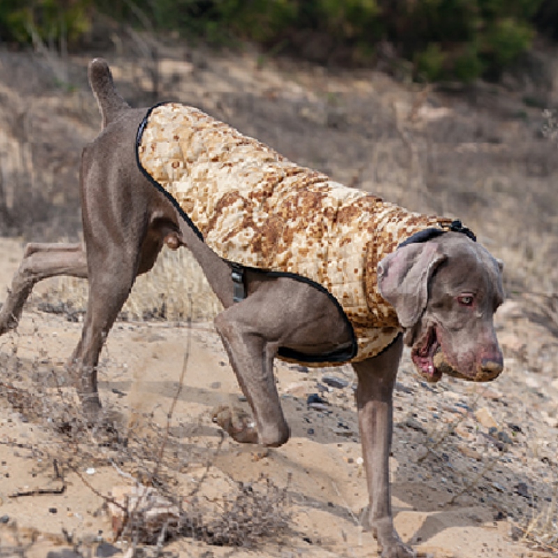 Amazon venta calientenueva ropa de mascota ropa de perro otoño e invierno espesado suéter eléter mascota suéter