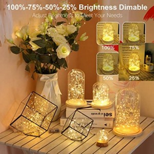 Luz de cobre de la batería