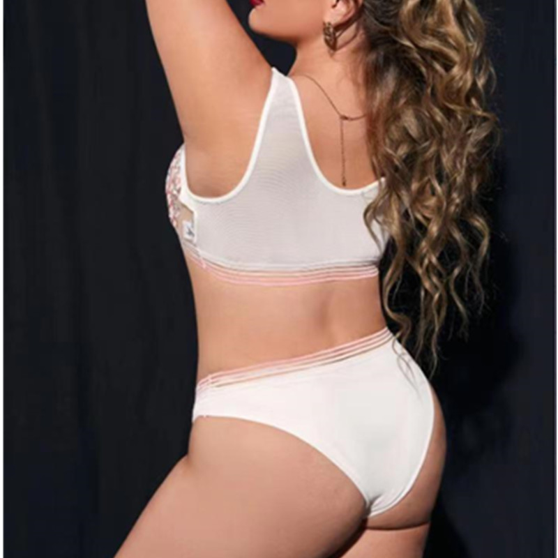 Rainbow Stripes bordado de lencería floral conjunto transparente bras de mujer cómoda lencería