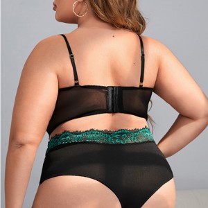 Push-up de encaje floral Juego de lencería sexy con un par anillo de piernas