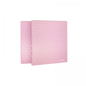 Carpeta de archivo de arco de palanca de plástico de tamaño A4 de la escuela 3 o carpeta de anillo para documento