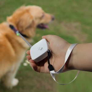 Correa portátil para caminar mini correa para perros retráctil para perros pequeños gatos
