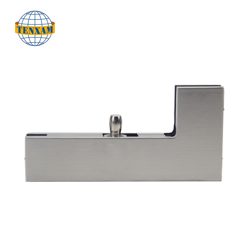 Pinza de puerta dorma