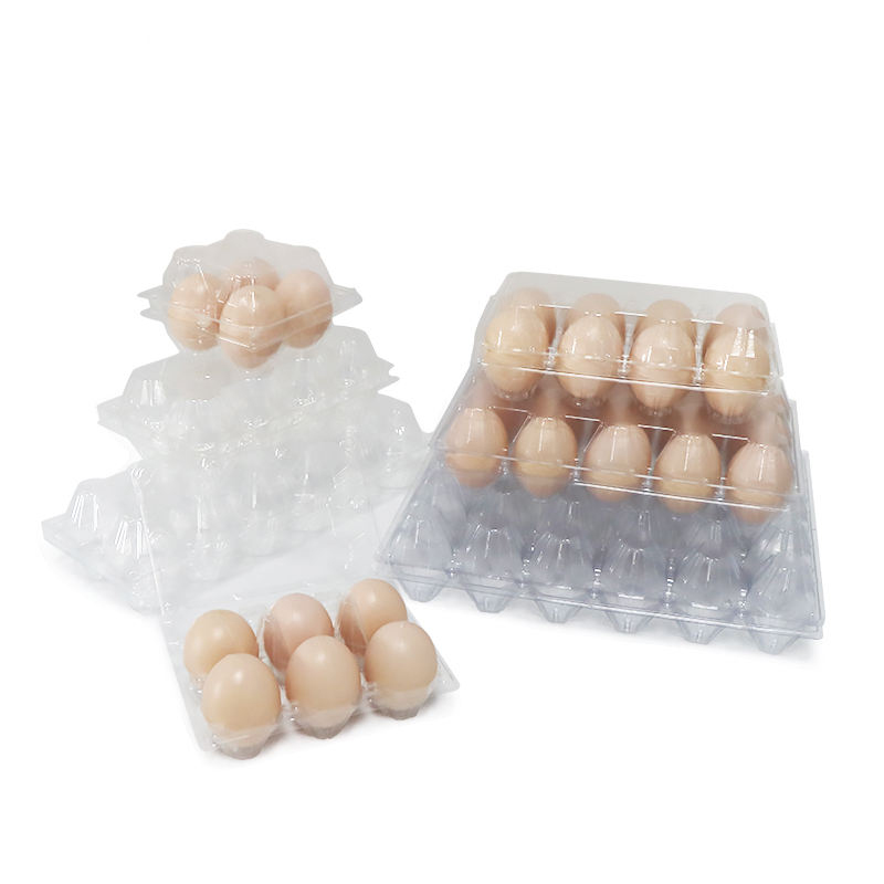 Bandeja de huevos de embalaje de plástico desechable personalizado