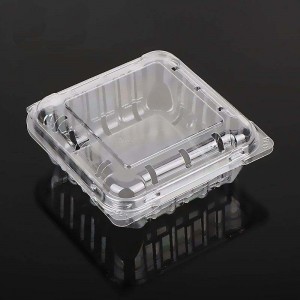125G Contenedor de frutas de envasado de llanura transparente al portaes transparentes