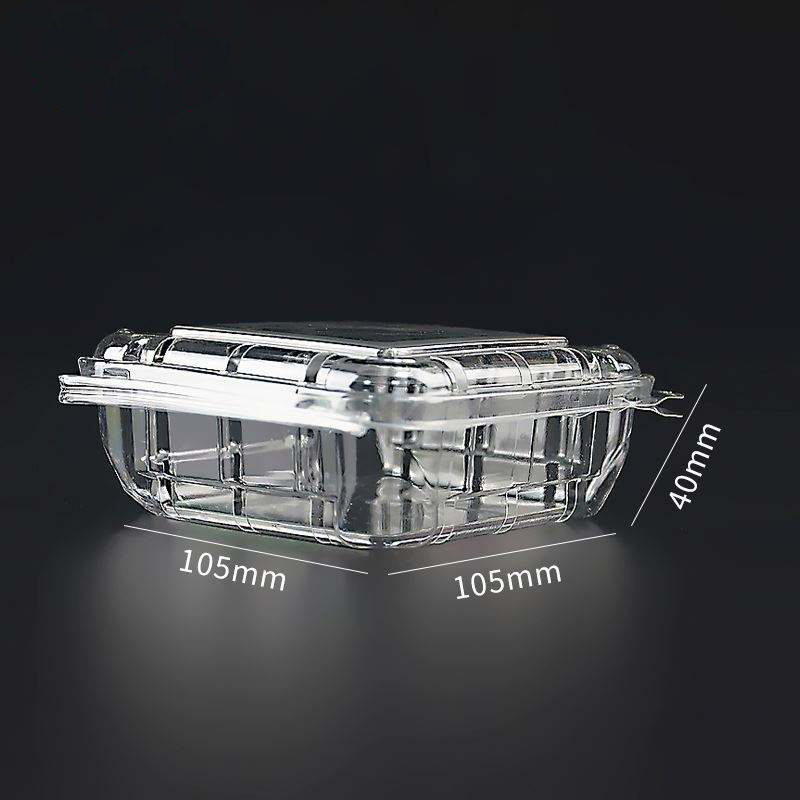 125G Contenedor de frutas de envasado de llanura transparente al portaes transparentes