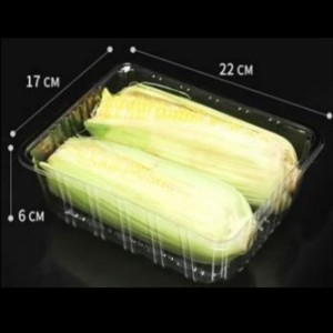 Sin cubierta Bandeja profunda 220*170*60 mm HGF-2217