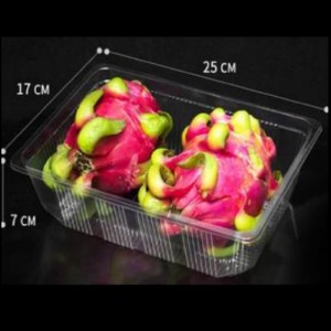 Sin cubierta Bandeja profunda 260*180*70 mm HGF-2517H7