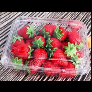 Caja de frutas con tapa 175*135*55 mm HGF-300B