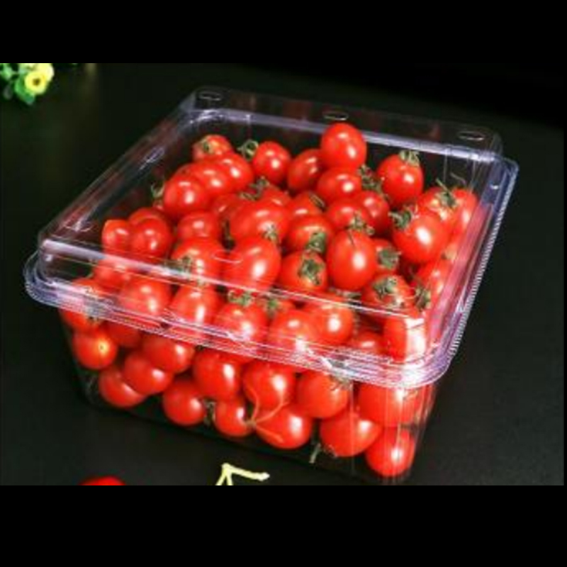 Caja de frutas con tapa 175*175*90 mm HGF-1000G