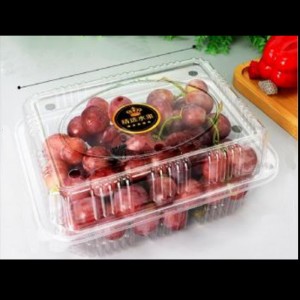 Caja de frutas con tapa 225*170*90 mm HGF-1000H