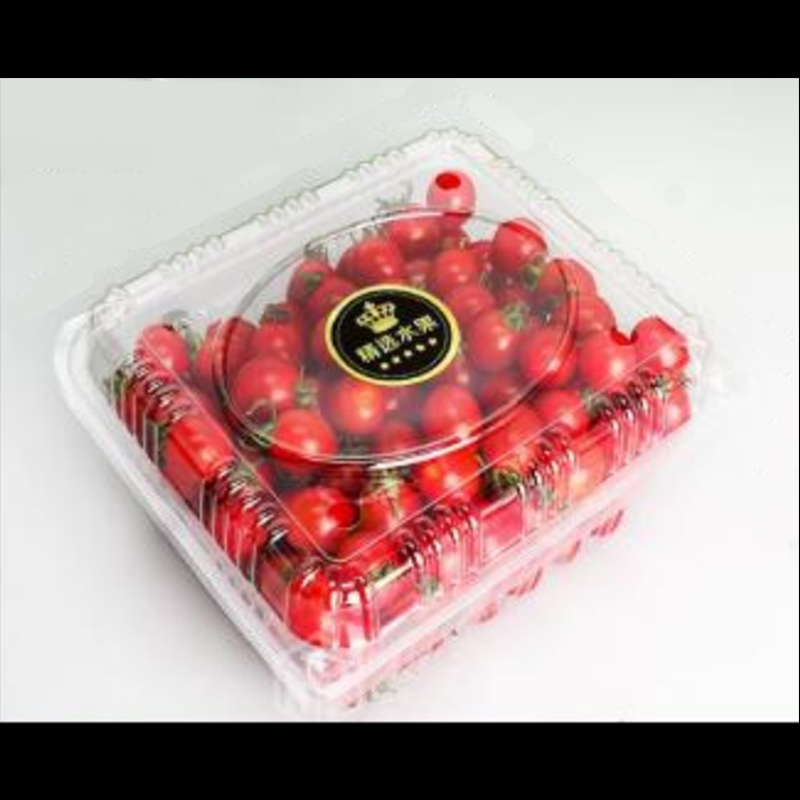 Caja de frutas con tapa 200*170*95 mm HGF-750H