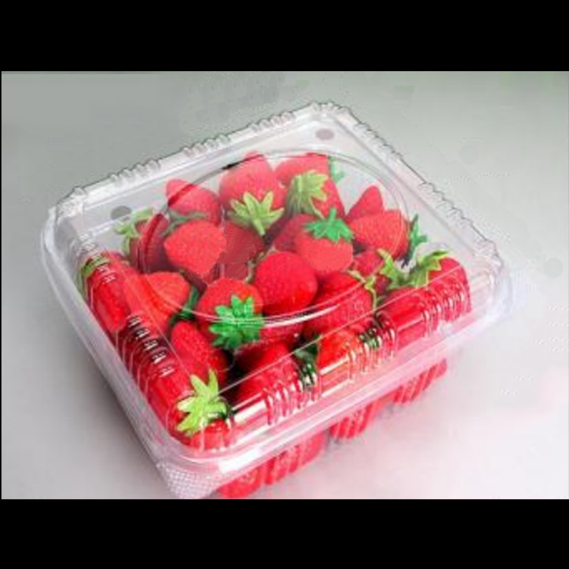 Caja de frutas con tapa 195*170*90 mm HGF-750B