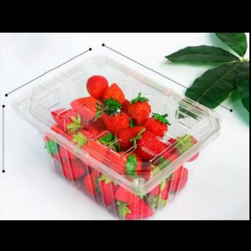 Caja de frutas con tapa 210*155*100 mm HGF-950A