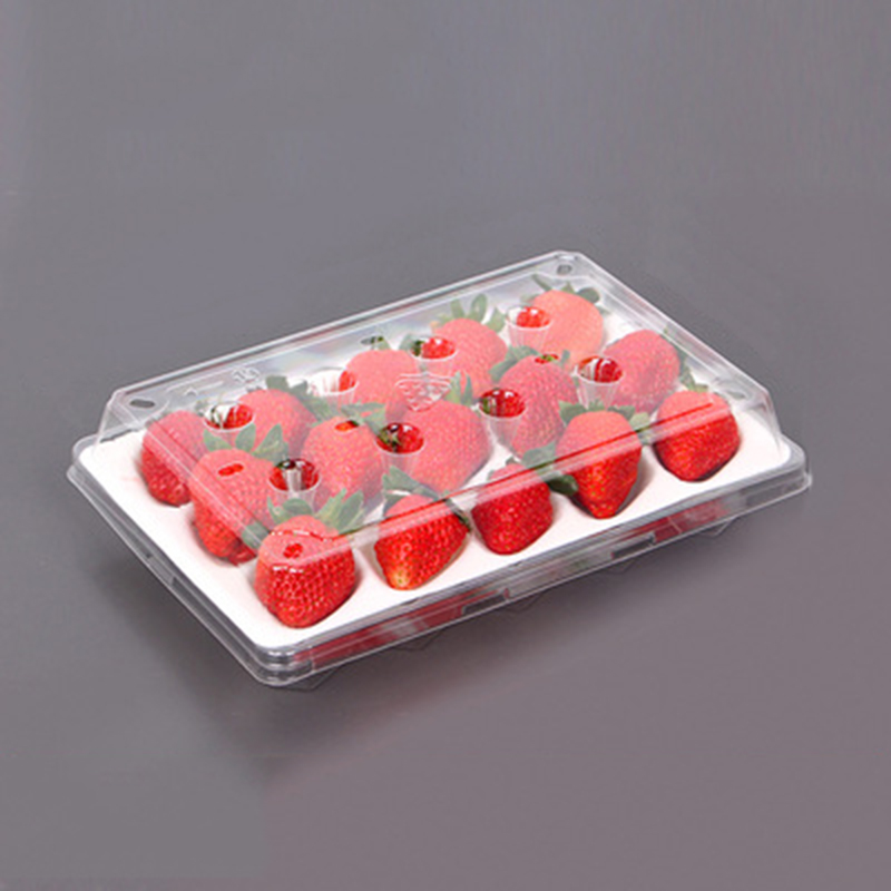 Caja de fresas (15 fresas) 225*120*40 mm cm-15
