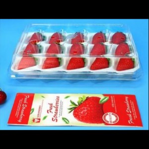 Caja de fresas (15 fresas) 225*120*40 mm cm-15